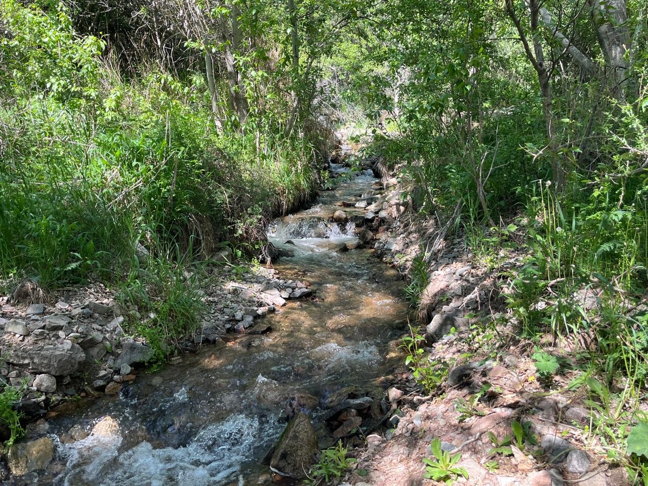 Hike towards Bear Waterfall